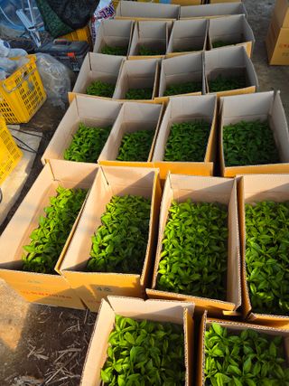 노고단님의 자유주제 · 자유게시판 작성글 사진