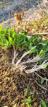 팜모닝 자유주제·자유게시판 게시글 이미지