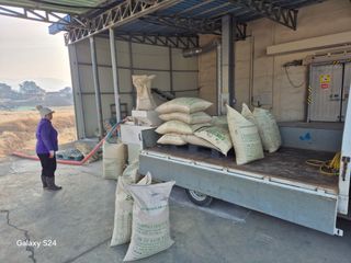 사천시향촌동 돼지띠님의 자유주제 · 자유게시판 작성글 사진