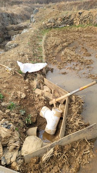 권리를위한투쟁님의 자유주제 · 자유게시판 작성글 사진