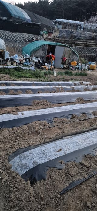 봉림동 태진농장님의 자유주제 · 자유게시판 작성글 사진