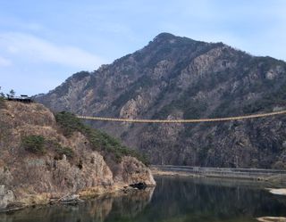 MSG0074님의 자유주제 · 자유게시판 작성글 사진