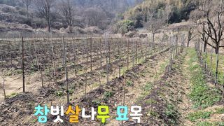 다음:농수산물공동구님의 작성글 사진
