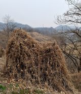 팜모닝 자유주제·자유게시판 게시글 이미지