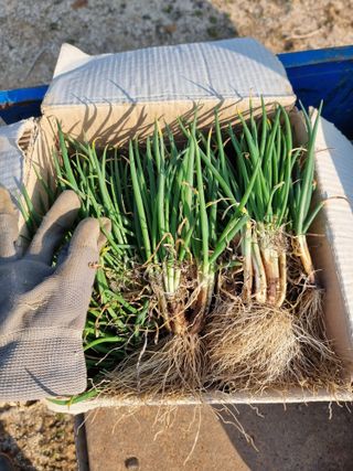 조경준님의 자유주제 · 자유게시판 작성글 사진