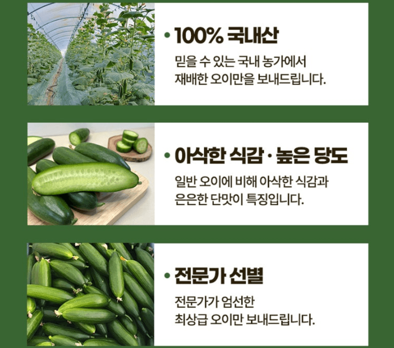 메종루엘님의 장터 판매 상품 [미니오이] 첨부 사진