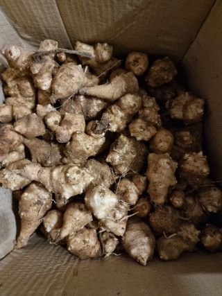 조경준님의 자유주제 · 자유게시판 작성글 사진