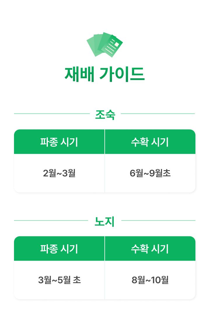 팜모닝 상점님의 장터 판매 상품 [여주 씨앗종자 임페리얼 100립] 첨부 사진