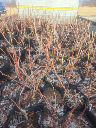 이재국님의 자유주제 · 자유게시판 작성글 사진