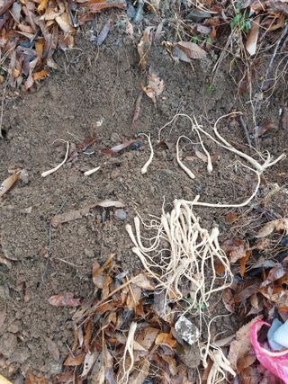 정대균님의 자유주제 · 자유게시판 작성글 사진