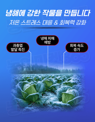 농업마켓365님의 작성글 사진