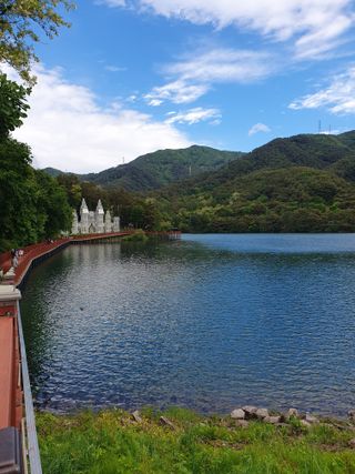 최동수님의 자유주제 · 자유게시판 작성글 사진