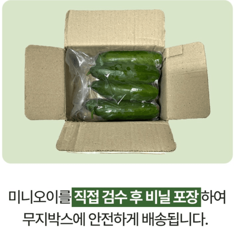 메종루엘님의 장터 판매 상품 [미니오이] 첨부 사진