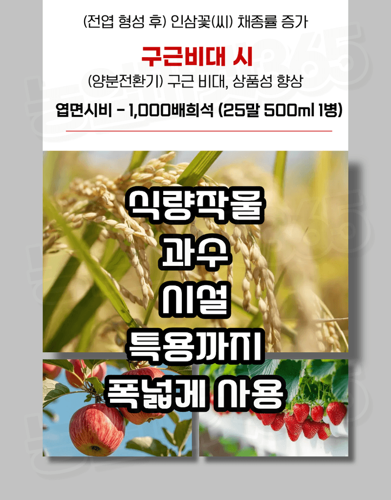 농업마켓365님의 장터 판매 상품 [엑토신 500ML 1L 다수확 촉진제 벼 도복경감제 화아분화 촉진 식물영양제 ] 첨부 사진