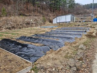 연민우님의 자유주제 · 자유게시판 작성글 사진