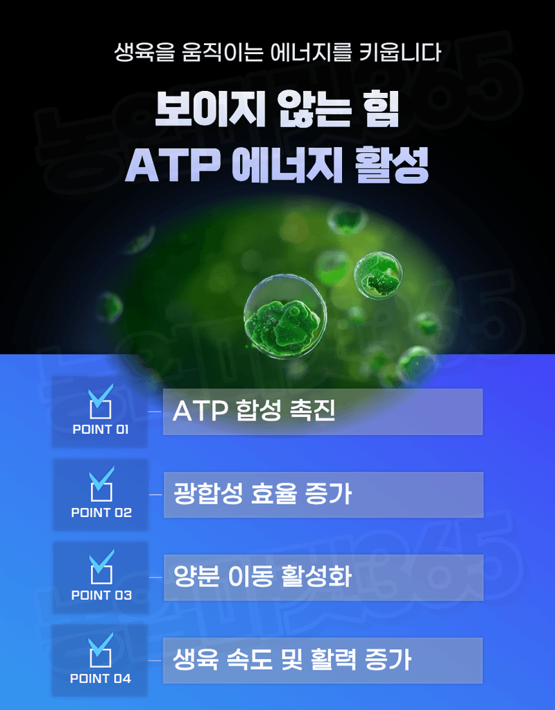 농업마켓365님의 장터 판매 상품 [엑토신 500ML 1L 다수확 촉진제 벼 도복경감제 화아분화 촉진 식물영양제 ] 첨부 사진