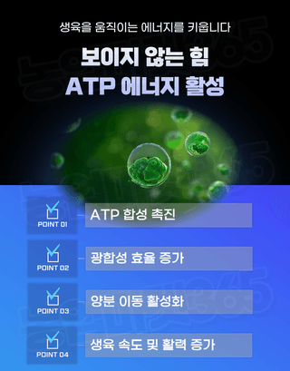 농업마켓365님의 작성글 사진