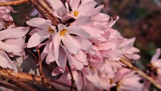 이정운님의 자유주제 · 자유게시판 작성글 사진