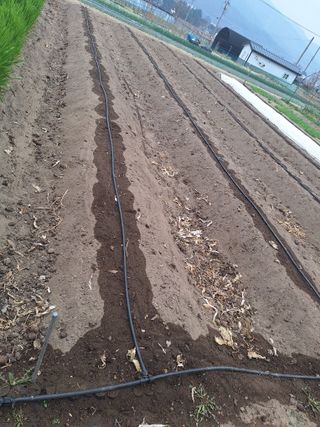 (복조리농장)김찬두님의 자유주제 · 자유게시판 작성글 사진