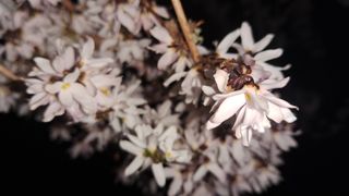 이정운님의 자유주제 · 자유게시판 작성글 사진