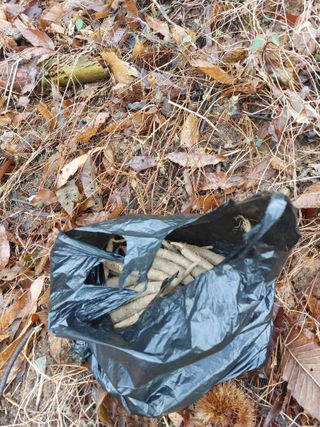 정대균님의 자유주제 · 자유게시판 작성글 사진