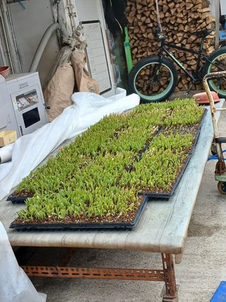 옥천서화농님의 자유주제 · 자유게시판 작성글 사진