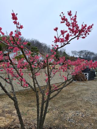 MSG0074님의 자유주제 · 자유게시판 작성글 사진