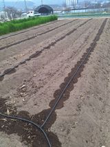 팜모닝 자유주제·자유게시판 게시글 이미지