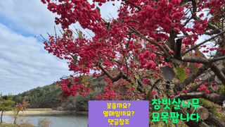 다음:농수산물공동구님의 작성글 사진