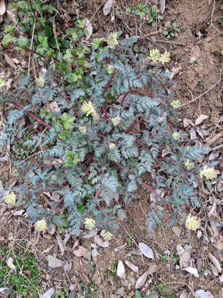 MSG0074님의 자유주제 · 자유게시판 작성글 사진