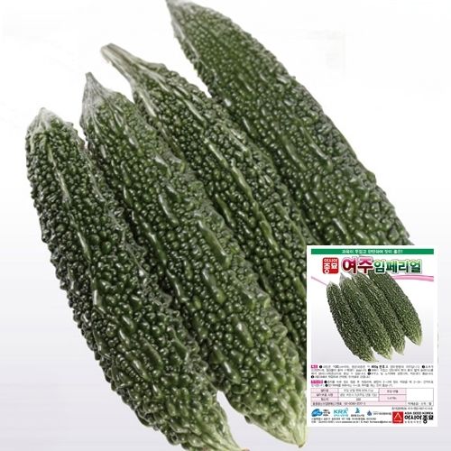 장터 상품 [여주 씨앗종자 임페리얼 100립] 썸네일