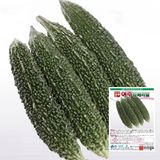 팜모닝 · 게시글 이미지