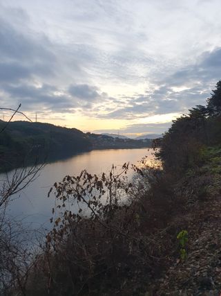 최동수님의 자유주제 · 자유게시판 작성글 사진