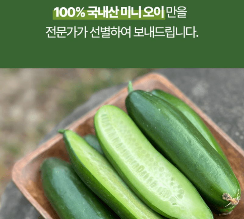 메종루엘님의 장터 판매 상품 [미니오이] 첨부 사진