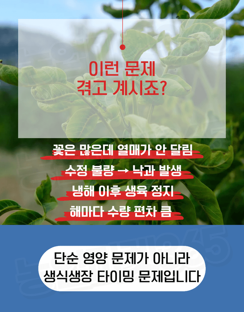 농업마켓365님의 장터 판매 상품 [엑토신 500ML 1L 다수확 촉진제 벼 도복경감제 화아분화 촉진 식물영양제 ] 첨부 사진