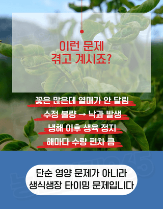 농업마켓365님의 작성글 사진