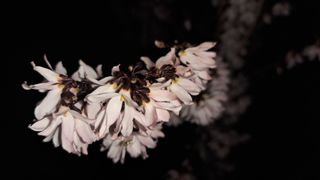 이정운님의 자유주제 · 자유게시판 작성글 사진