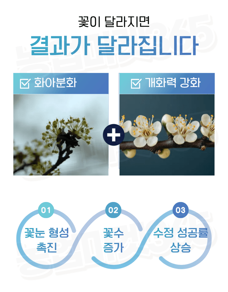 농업마켓365님의 장터 판매 상품 [엑토신 500ML 1L 다수확 촉진제 벼 도복경감제 화아분화 촉진 식물영양제 ] 첨부 사진