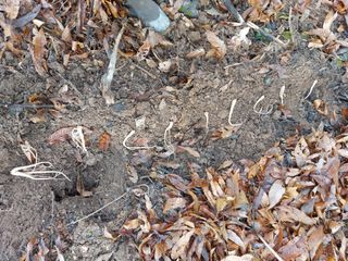 정대균님의 자유주제 · 자유게시판 작성글 사진