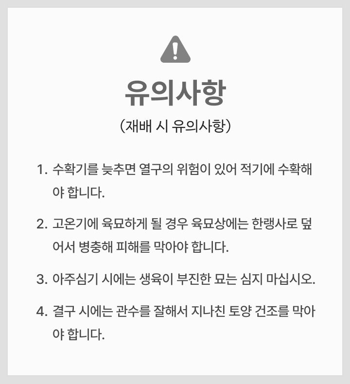 팜모닝 상점님의 장터 판매 상품 [양배추 씨앗종자 대박나 2500립] 첨부 사진