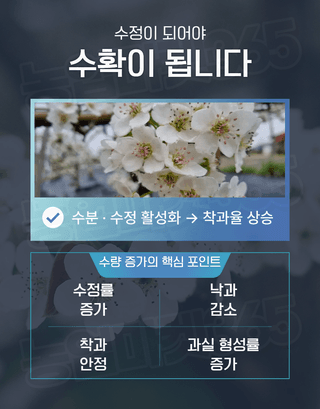 농업마켓365님의 작성글 사진