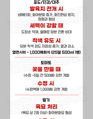 농업마켓365님의 작성글 사진