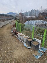 팜모닝 자유주제·자유게시판 게시글 이미지