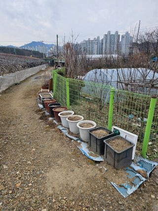 청산거사님의 자유주제 · 자유게시판 작성글 사진
