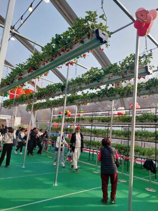 재연농장님의 자유주제 · 자유게시판 작성글 사진