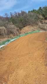 팜모닝 자유주제·자유게시판 게시글 이미지