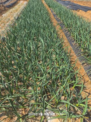 정택님의 자유주제 · 자유게시판 작성글 사진