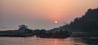 구춘봉님의 자유주제 · 자유게시판 작성글 사진