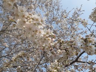 주흘산인님의 자유주제 · 자유게시판 작성글 사진