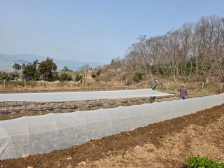 고추농사 정 미라님의 자유주제 · 자유게시판 작성글 사진